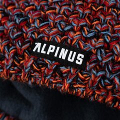 Женская зимняя шапка Alpinus Sompion ST18338, бордовая цена и информация | Женские шапки | pigu.lt