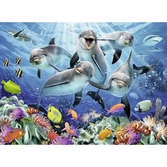 Dėlionė su delfinais Ravensburger, 500 d. kaina ir informacija | Dėlionės (puzzle) | pigu.lt