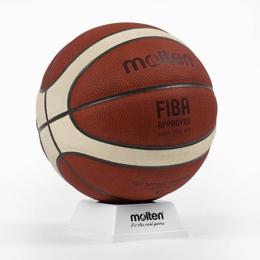 Krepšinio kamuolio stovas Molten, 130x70cm цена и информация | Krepšinio stovai | pigu.lt