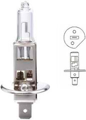 Lemputė H1 Alburnus kaina ir informacija | Alburnus Elektros įranga | pigu.lt