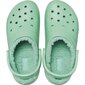 Šlepetės moterims Crocs™ Classic Lined Clog 230107 kaina ir informacija | Šlepetės moterims | pigu.lt