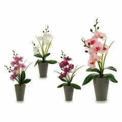 Orchidėja dekoratyvinis augalas, 8 x 35 x 14 cm, 12 vnt. kaina ir informacija | Dirbtinės gėlės | pigu.lt