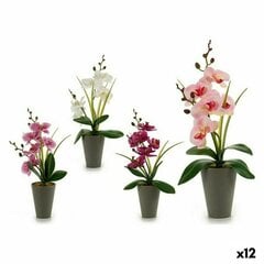 Orchidėja dekoratyvinis augalas, 8 x 35 x 14 cm, 12 vnt. kaina ir informacija | Dirbtinės gėlės | pigu.lt