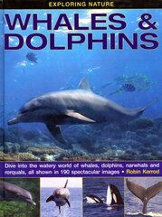Exploring Nature: Whales & Dolphins: Dive into the Watery World of Whales, Dolphins, Narwhals and Rorquals, All Shown in 190 Spectacular Images kaina ir informacija | Knygos paaugliams ir jaunimui | pigu.lt