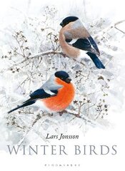 Winter Birds цена и информация | Книги о питании и здоровом образе жизни | pigu.lt