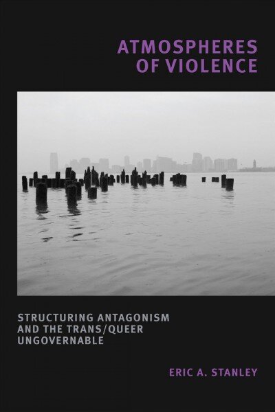 Atmospheres of Violence: Structuring Antagonism and the Trans/Queer Ungovernable цена и информация | Socialinių mokslų knygos | pigu.lt
