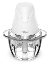 Tesla FC302W цена и информация | Блендеры, измельчители | pigu.lt