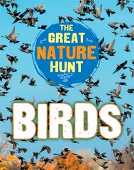 Great Nature Hunt: Birds Illustrated edition цена и информация | Книги для подростков и молодежи | pigu.lt