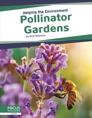 Helping the Environment: Pollinator Gardens kaina ir informacija | Knygos paaugliams ir jaunimui | pigu.lt