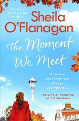 Moment We Meet: Stories of love, hope and chance encounters by the No. 1 bestselling author цена и информация | Фантастика, фэнтези | pigu.lt