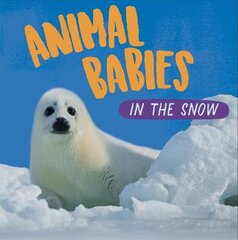 Animal Babies: In the Snow цена и информация | Книги для подростков и молодежи | pigu.lt