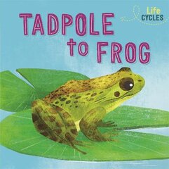 Life Cycles: From Tadpole to Frog цена и информация | Книги для подростков и молодежи | pigu.lt
