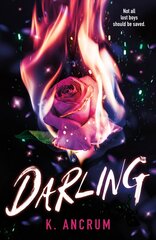 Darling цена и информация | Книги для подростков и молодежи | pigu.lt