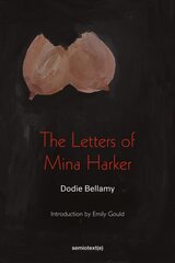 Letters of Mina Harker цена и информация | Фантастика, фэнтези | pigu.lt