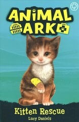 Animal Ark, New 1: Kitten Rescue: Book 1 цена и информация | Книги для подростков  | pigu.lt