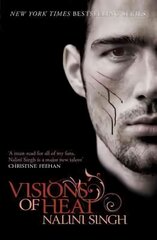 Visions of Heat: Your next paranormal romance obsession kaina ir informacija | Fantastinės, mistinės knygos | pigu.lt