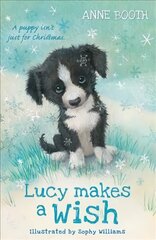 Lucy Makes a Wish цена и информация | Книги для подростков и молодежи | pigu.lt