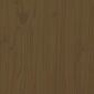 Kavos staliukas, medaus rudas, 60x50x35cm цена и информация | Kavos staliukai | pigu.lt