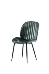 2-jų valgomojo kėdžių komplektas Element Rebecca Designer chair, Žalia kaina ir informacija | Virtuvės ir valgomojo kėdės | pigu.lt
