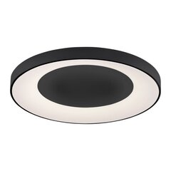 Just Light Lubinis šviestuvas LOLAsmart-Anika juodos spalvos kaina ir informacija | Lubiniai šviestuvai | pigu.lt