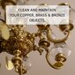 Hagerty Copper, Brass & Bronze Duster dekoratyvinių elementų priežiūra kaina ir informacija | Valikliai | pigu.lt