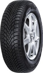 Nexen WinGuard Snow'G 3 WH21 195/55R16 91 H XL цена и информация | Зимняя резина | pigu.lt