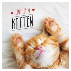 Love is a Kitten: A Cat-Tastic Celebration of the World's Cutest Kittens цена и информация | Фантастика, фэнтези | pigu.lt