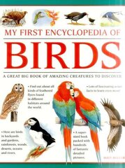 My First Encylopedia of Birds (giant Size): A First Encyclopedia with Supersize Pictures цена и информация | Книги для подростков и молодежи | pigu.lt
