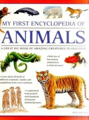 My First Encyclopedia of Animals (giant Size): A First Encyclopedia with Supersize Pictures kaina ir informacija | Knygos paaugliams ir jaunimui | pigu.lt
