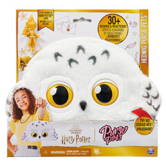 Кошелек / интерактивная сумочка Pets Owl Hedwig цена и информация | Аксессуары для детей | pigu.lt