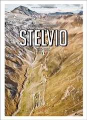 Porsche Drive: Stelvio: Pass Portraits; Italy 2757m цена и информация | Путеводители, путешествия | pigu.lt