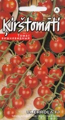 Vyšniniai Pomidorai Cherrola F1 kaina ir informacija | Daržovių, uogų sėklos | pigu.lt