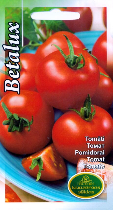 Pomidorai Betalux kaina ir informacija | Daržovių, uogų sėklos | pigu.lt