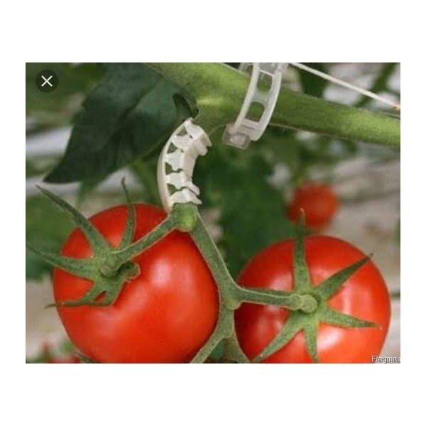 Pomidorų kekės atrama Lankstus lankas 6mm, 20 vnt kaina ir informacija | Sodo įrankiai | pigu.lt