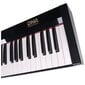 Elektrinis pianinas DNA SP 88 kaina ir informacija | Klavišiniai muzikos instrumentai | pigu.lt
