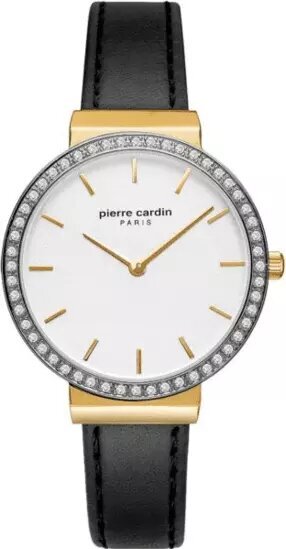 Moteriškas laikrodis Pierre Cardin Argentina PC902352F02 kaina ir informacija | Moteriški laikrodžiai | pigu.lt
