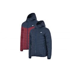 Куртка 4F AW22TDJAM176, темно-синяя цена и информация | Мужские куртки | pigu.lt