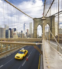 Fototapetai - Niujorkas, 225x250 cm kaina ir informacija | Fototapetai | pigu.lt