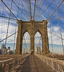 Fototapetai - Bruklino tiltas 225x250 cm kaina ir informacija | Fototapetai | pigu.lt