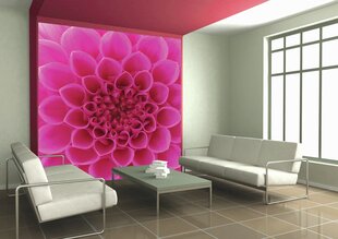 Fototapetai - Rožinė gėlė, 225x250 cm kaina ir informacija | Fototapetai | pigu.lt