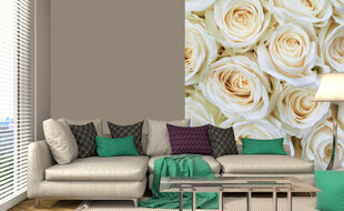 Fototapetai - Baltos rožės 225x250 cm kaina ir informacija | Fototapetai | pigu.lt