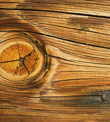 Фотообои - Имитация дерева 225х250 см цена и информация | Фотообои | pigu.lt