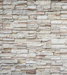 Фотообои - Каменная стена в серых тонах 225х250 см цена и информация | Фотообои | pigu.lt