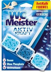 WC Meister tualeto gaiviklis, 1 vnt. kaina ir informacija | Valikliai | pigu.lt
