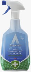 Astonish dezinfekcinis valiklis, 750 ml kaina ir informacija | Astonish Virtuvės, buities, apyvokos prekės | pigu.lt