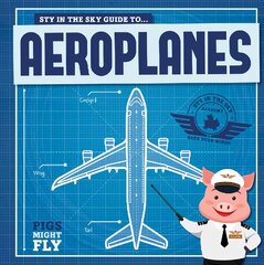 Aeroplanes цена и информация | Книги для подростков  | pigu.lt