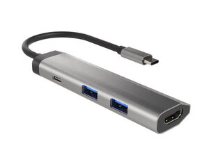 Adapteris Natec Multi-Port Fowler Slim, USB Type-C kaina ir informacija | Adapteriai, USB šakotuvai | pigu.lt
