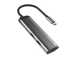 Adapteris Natec Multi-Port Fowler Slim, USB Type-C kaina ir informacija | Adapteriai, USB šakotuvai | pigu.lt