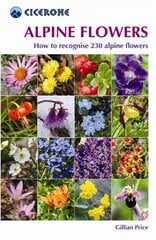 Alpine Flowers: How to recognise 230 alpine flowers цена и информация | Книги о питании и здоровом образе жизни | pigu.lt