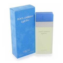 Tualetinis vanduo Dolce & Gabbana Light Blue moterims 100 ml kaina ir informacija | Kvepalai moterims | pigu.lt